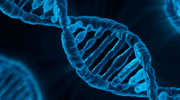 dna dna